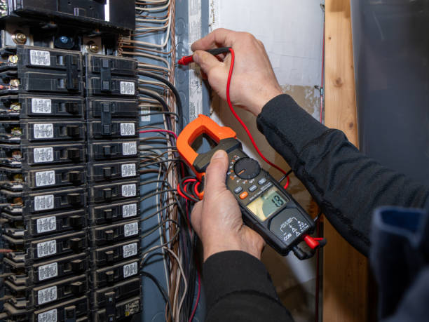 Best Electric Panel Repair  in Oshkosh, WI